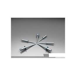 Заклепка комбинированная RCAS 4,8*8